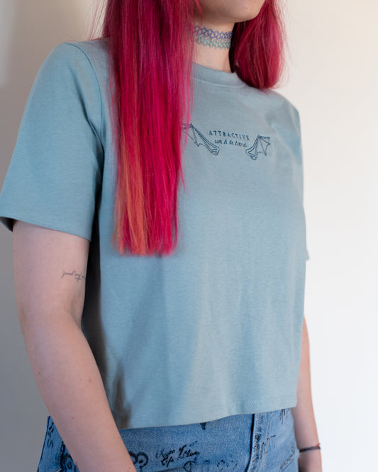 Pack 3 camisetas BatBoys