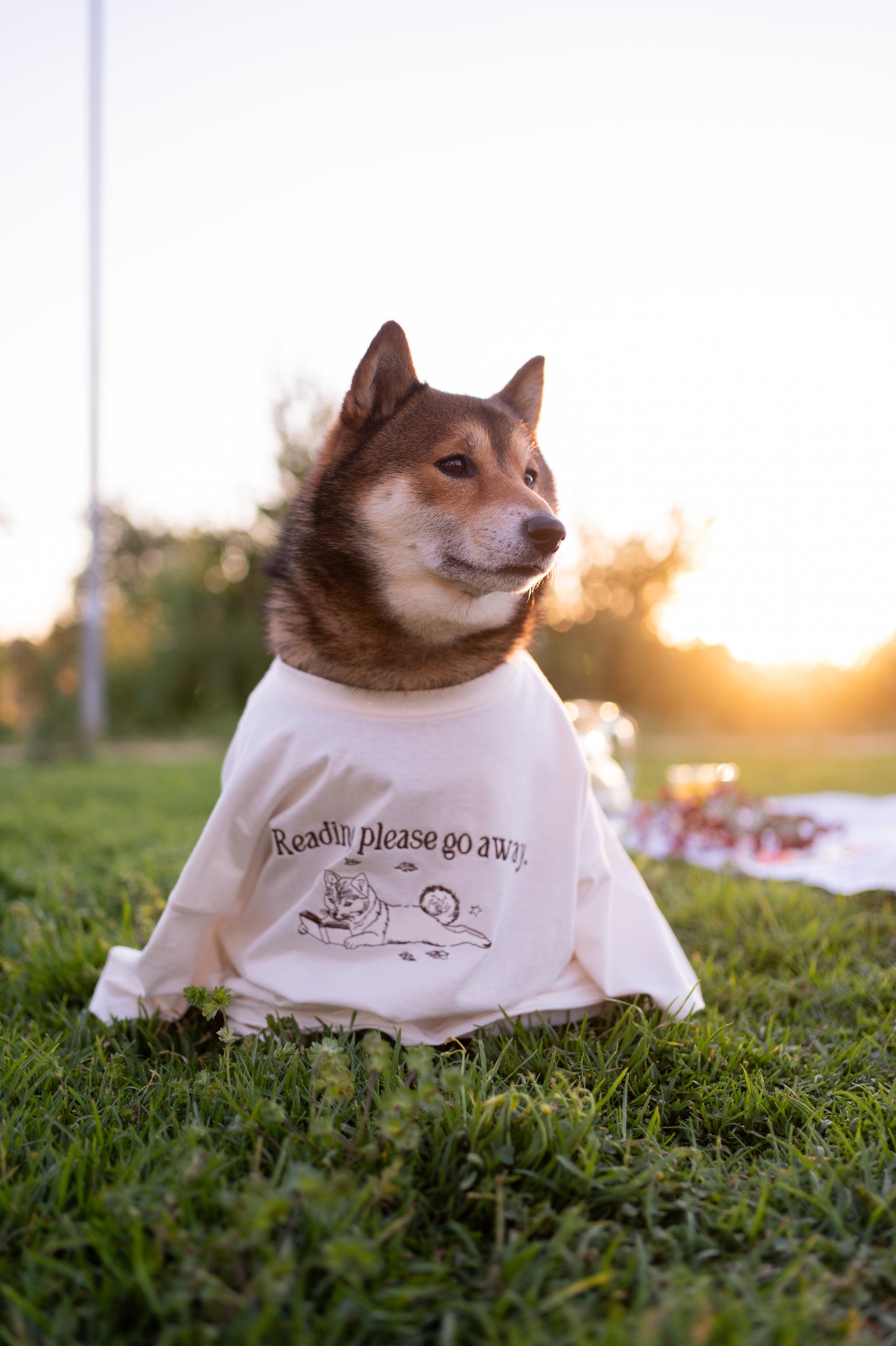 Camiseta "Reading, please go away"